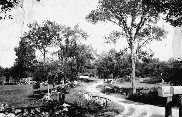 Sheehan Farm