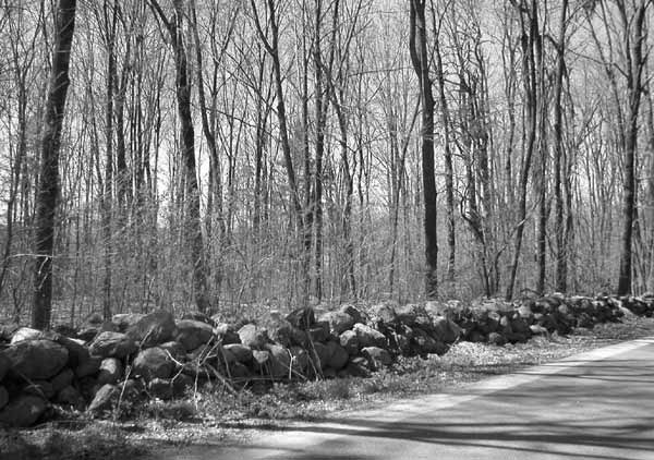 Littleton Stonewalls