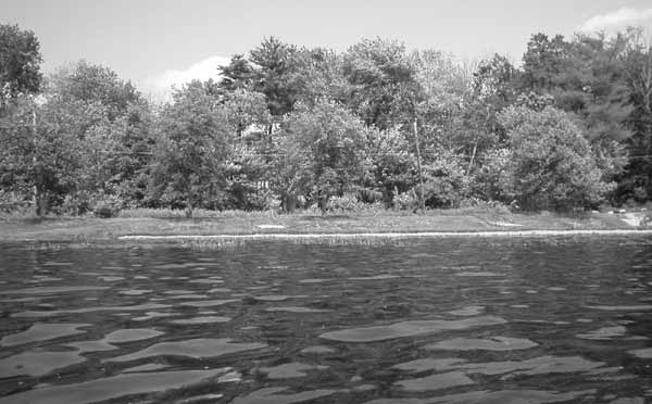 Site of Lake Shore Park
