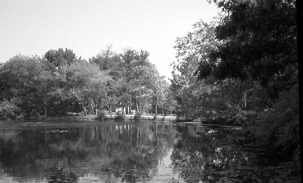 Mill Pond