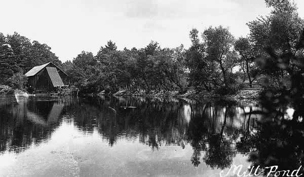 Mill Pond